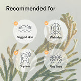Abib Collagen Gel Mask Jericho Rose Jelly