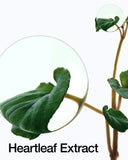 Anua Heartleaf 77% Soothing Toner