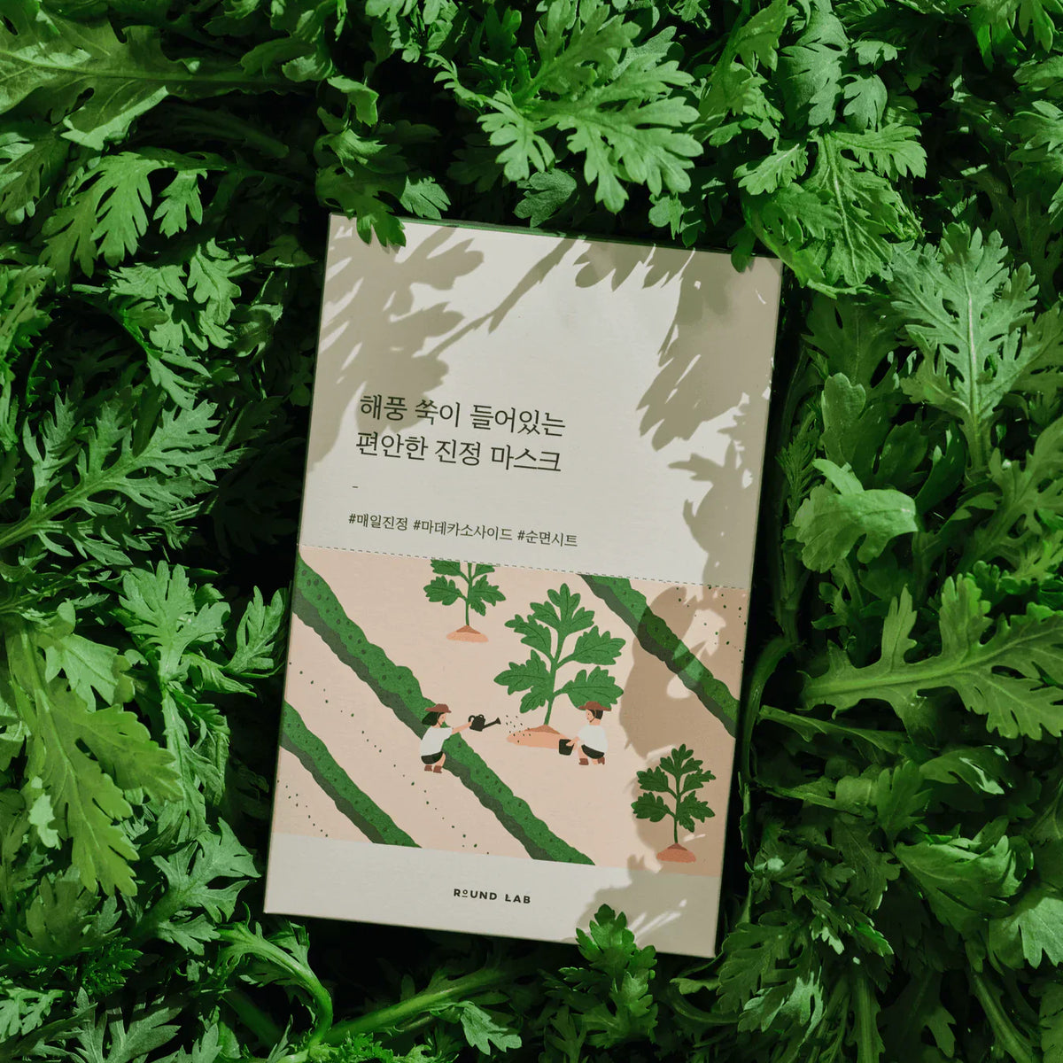 🎁 Round Lab Mugwort Calming Sheet Mask (100% off)